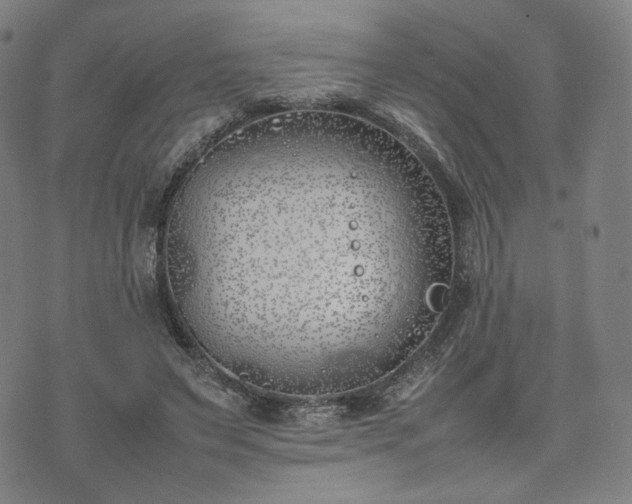 X0000074310495200609011516