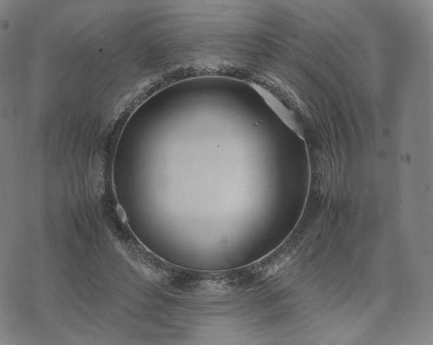 X0000074310496200609011516