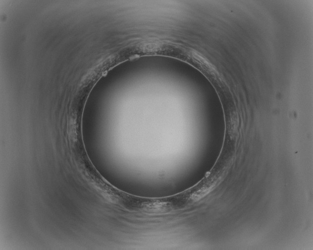 X0000074310497200609011516