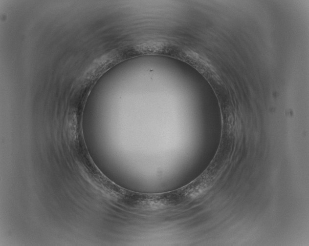 X0000074310498200609011516