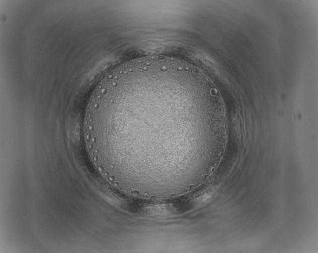 X0000074310499200609011516