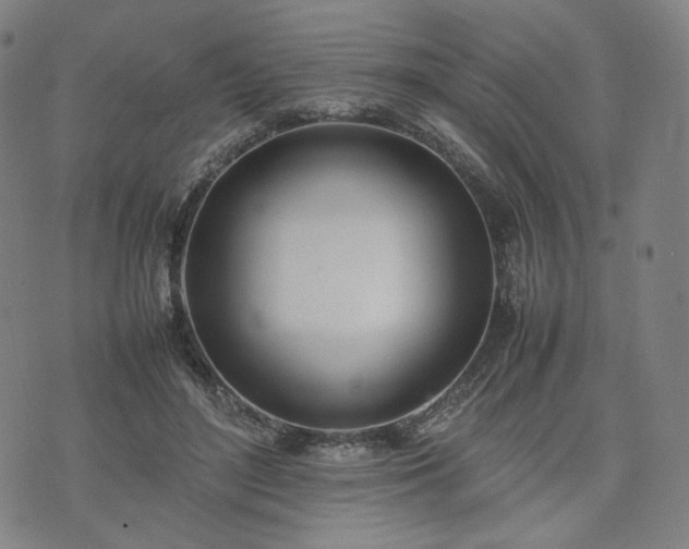 X0000074310500200609011516