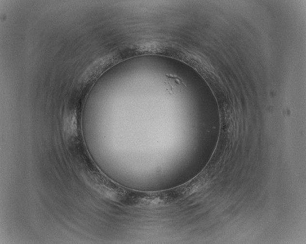 X0000074310502200609011516