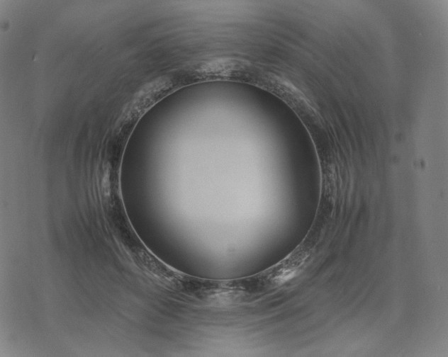 X0000074310504200609011516