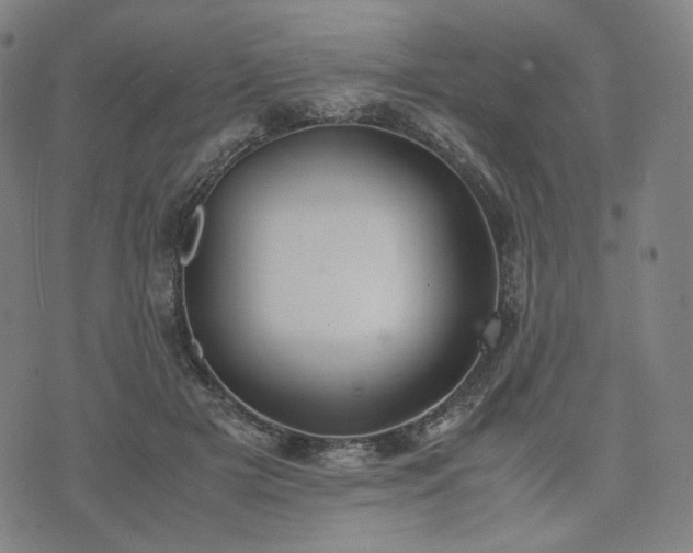 X0000074310505200609011516