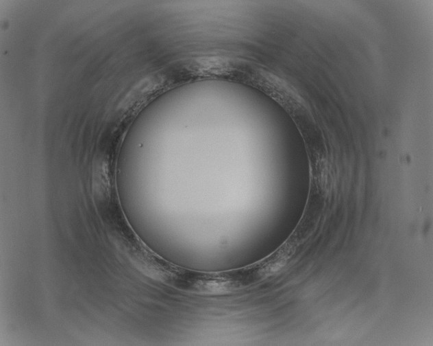 X0000074310506200609011516