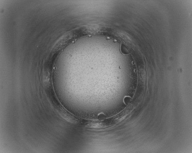 X0000074310507200609011516