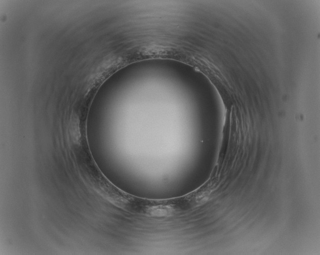 X0000074310508200609011516