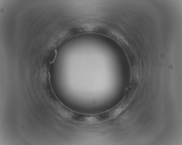 X0000074310509200609011516