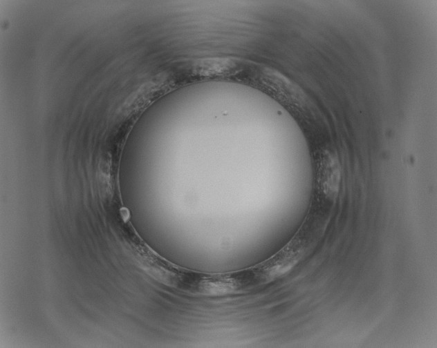 X0000074310510200609011516