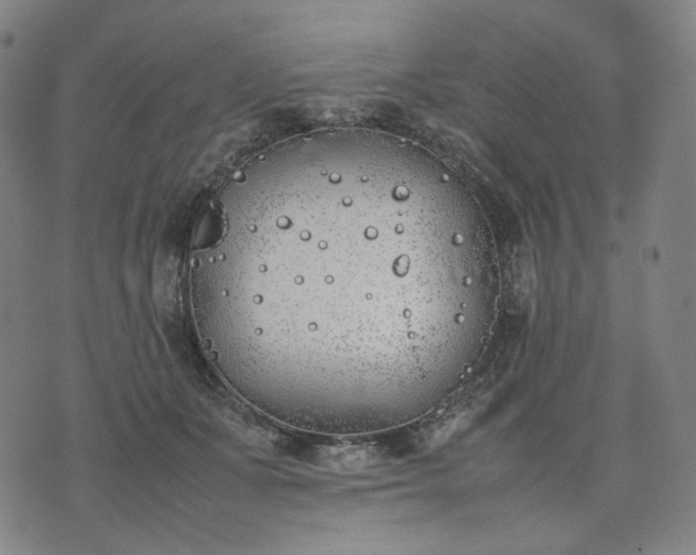 X0000074310511200609011516