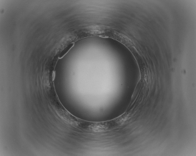 X0000074310512200609011516