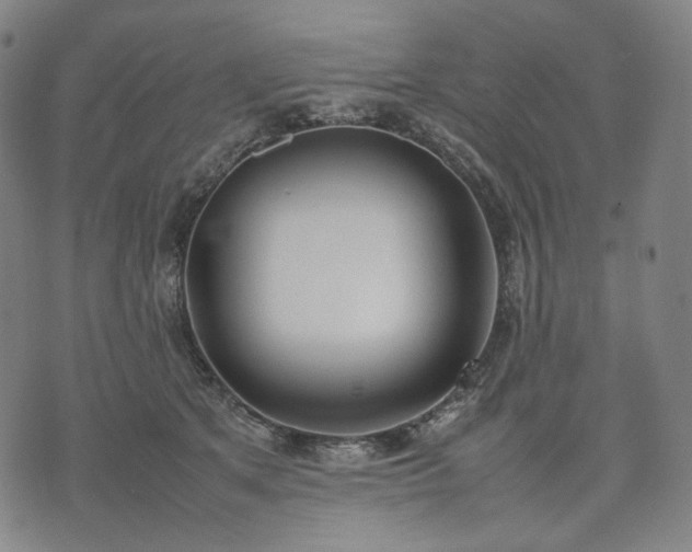 X0000074310513200609011516