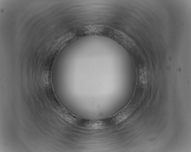 X0000074310514200609011516