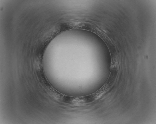 X0000074310515200609011515