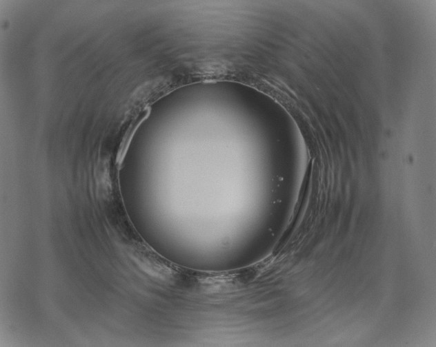 X0000074310516200609011515