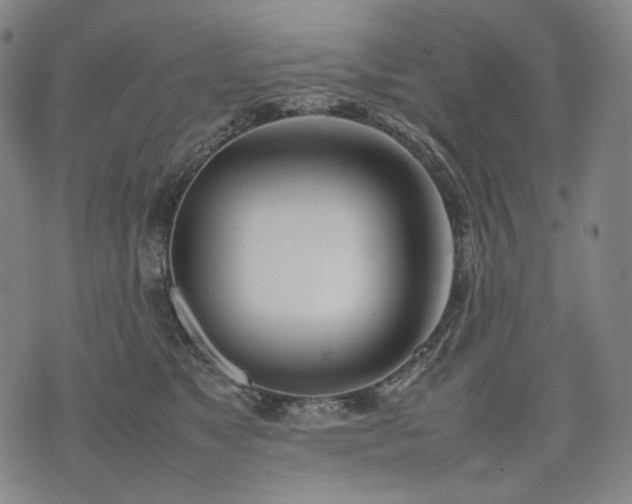 X0000074310517200609011515