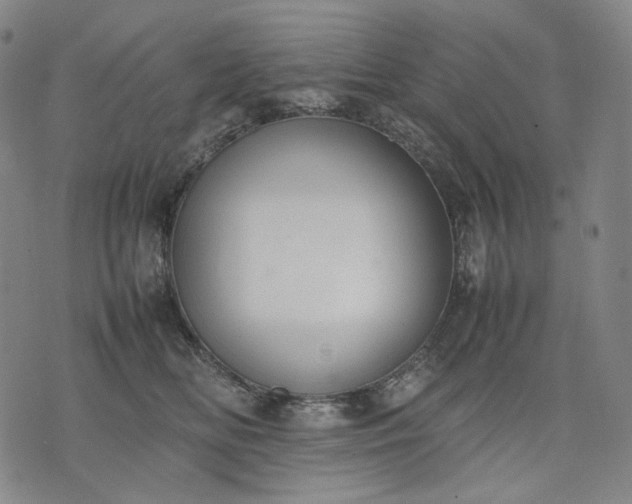 X0000074310518200609011515