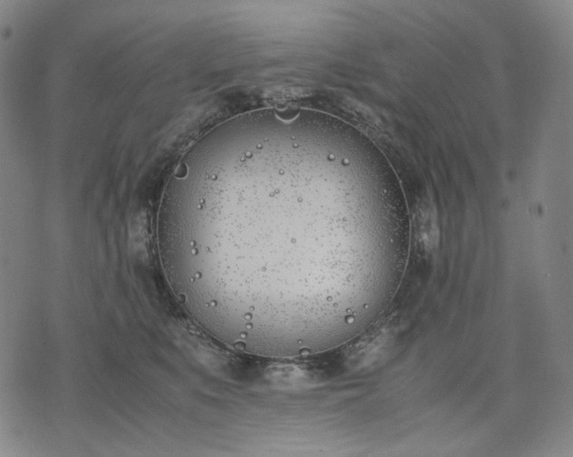 X0000074310519200609011515