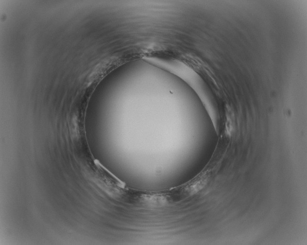 X0000074310520200609011515