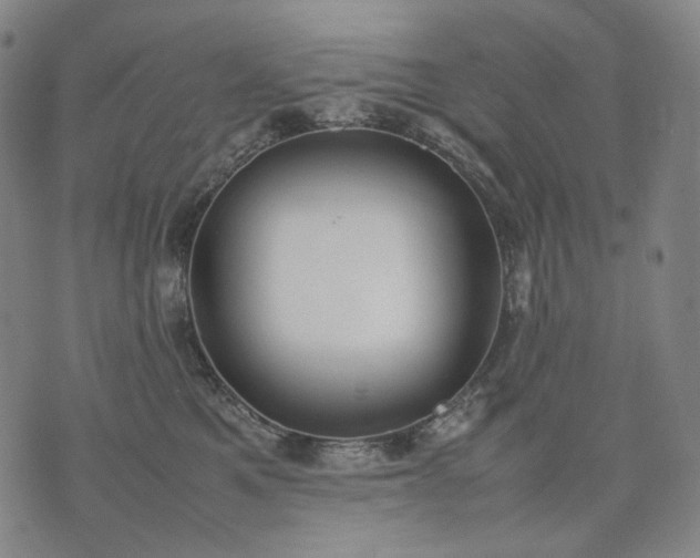 X0000074310521200609011515