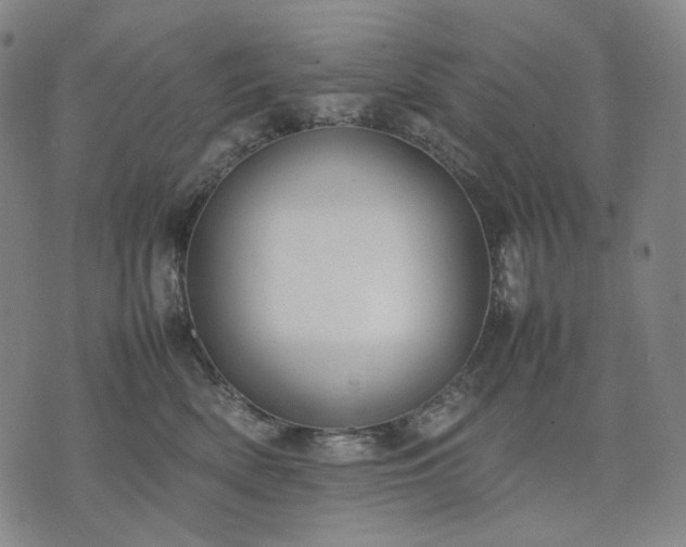 X0000074310522200609011515