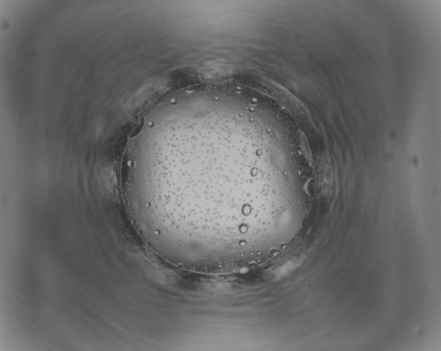 X0000074310523200609011515