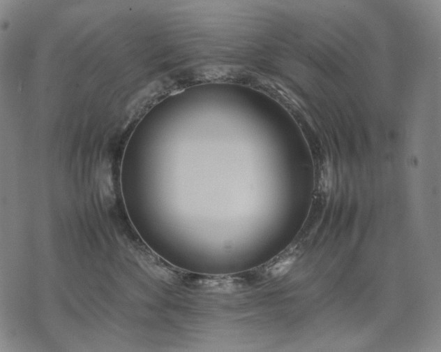 X0000074310524200609011515