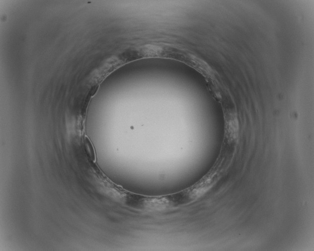 X0000074310525200609011515