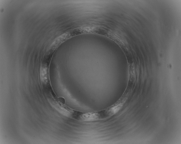 X0000074310526200609011515