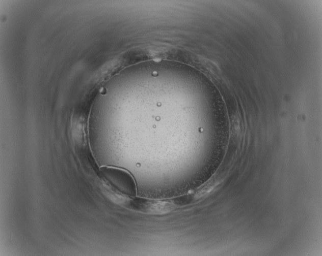 X0000074310527200609011515