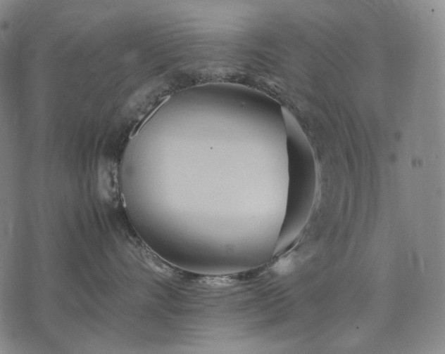 X0000074310528200609011515