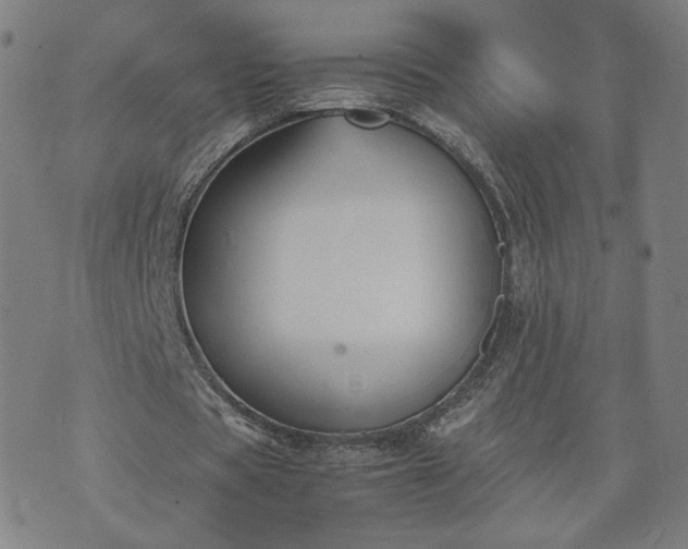 X0000074310529200609011515