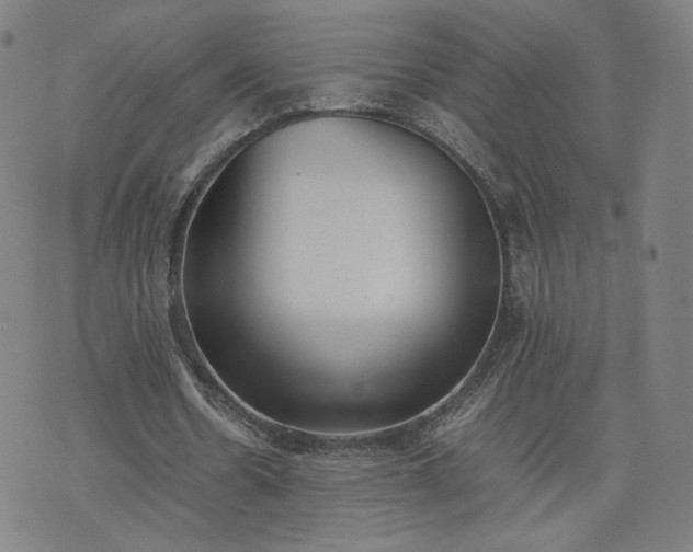 X0000074310530200609011515