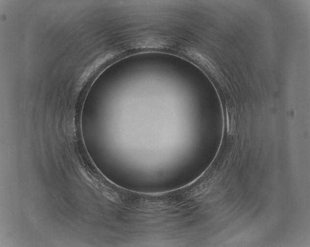 X0000074310531200609011515