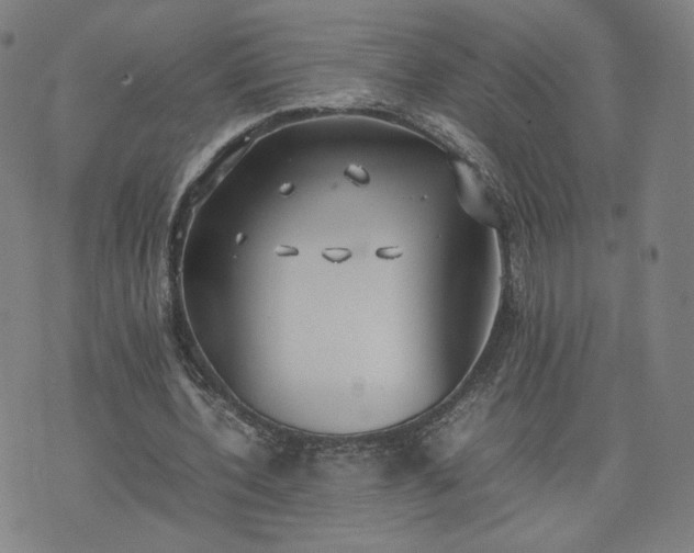 X0000074310532200609011515