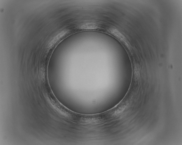 X0000074310533200609011515