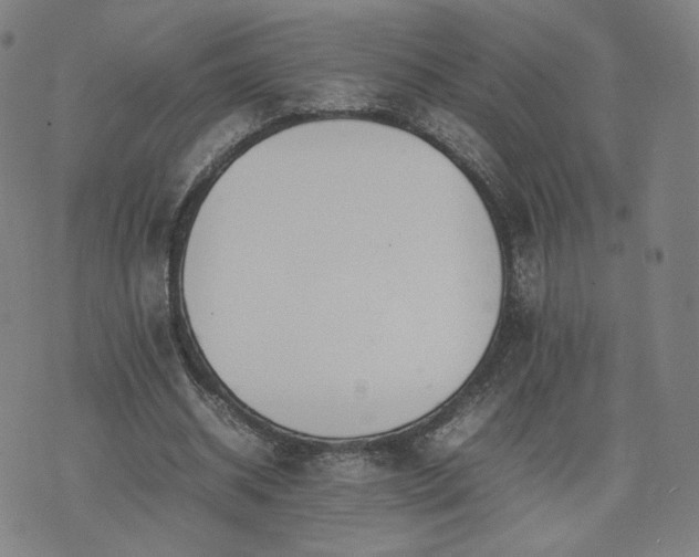 X0000074310534200609011515