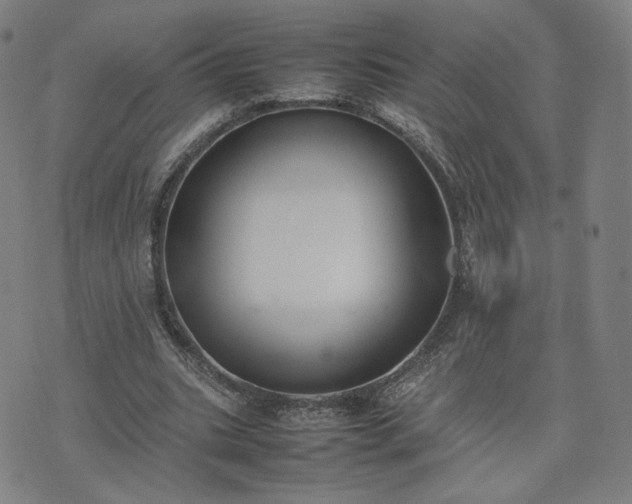 X0000074310535200609011515