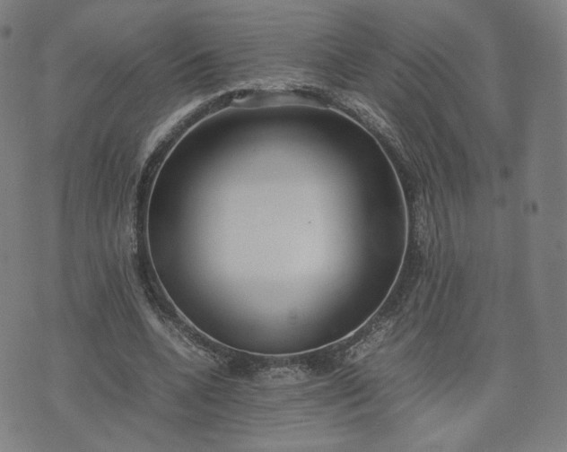 X0000074310536200609011515