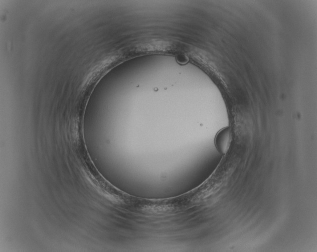 X0000074310537200609011515