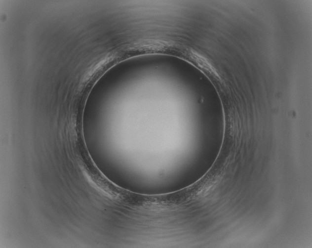 X0000074310538200609011515