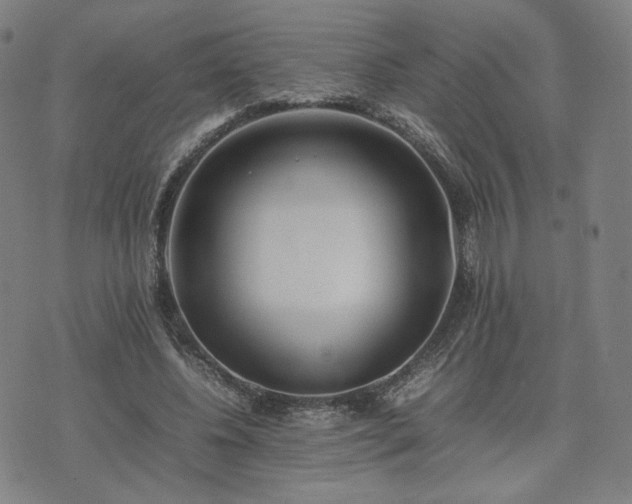 X0000074310540200609011515