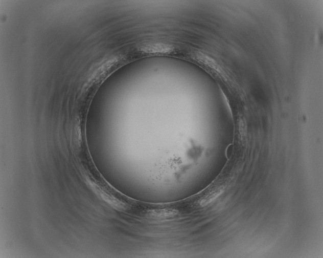 X0000074310541200609011515