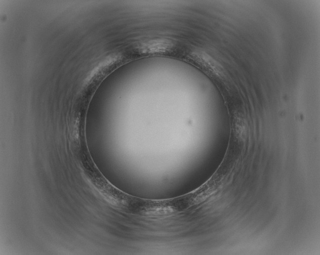 X0000074310543200609011515