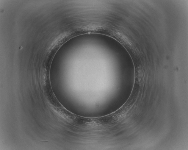 X0000074310544200609011515