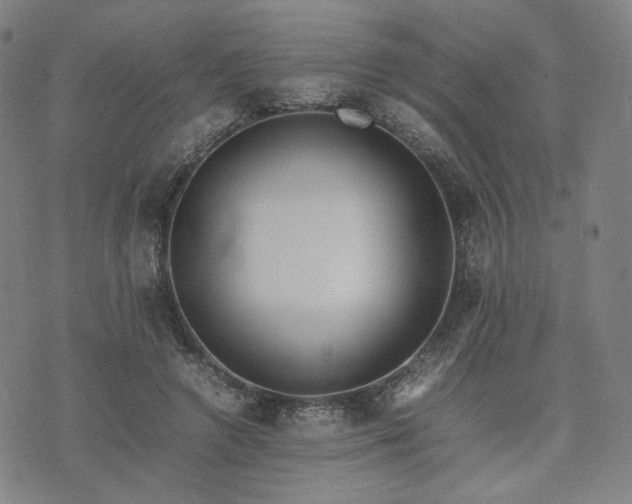 X0000074310546200609011515