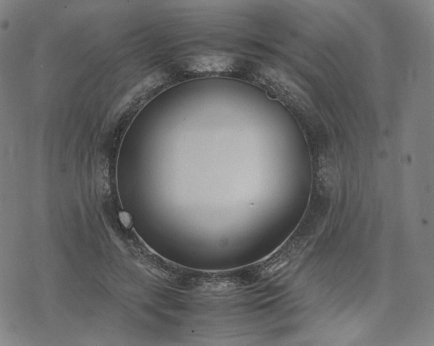 X0000074310547200609011515