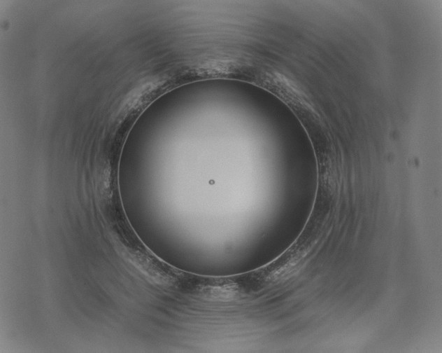 X0000074310548200609011515