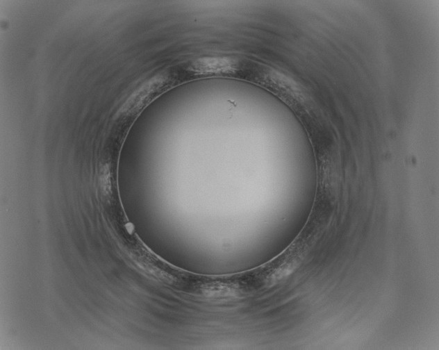 X0000074310549200609011515